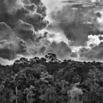 L’Uomo, la Terra, lo Sguardo. Una Riflessione sull’Eredità di Sebastião Salgado